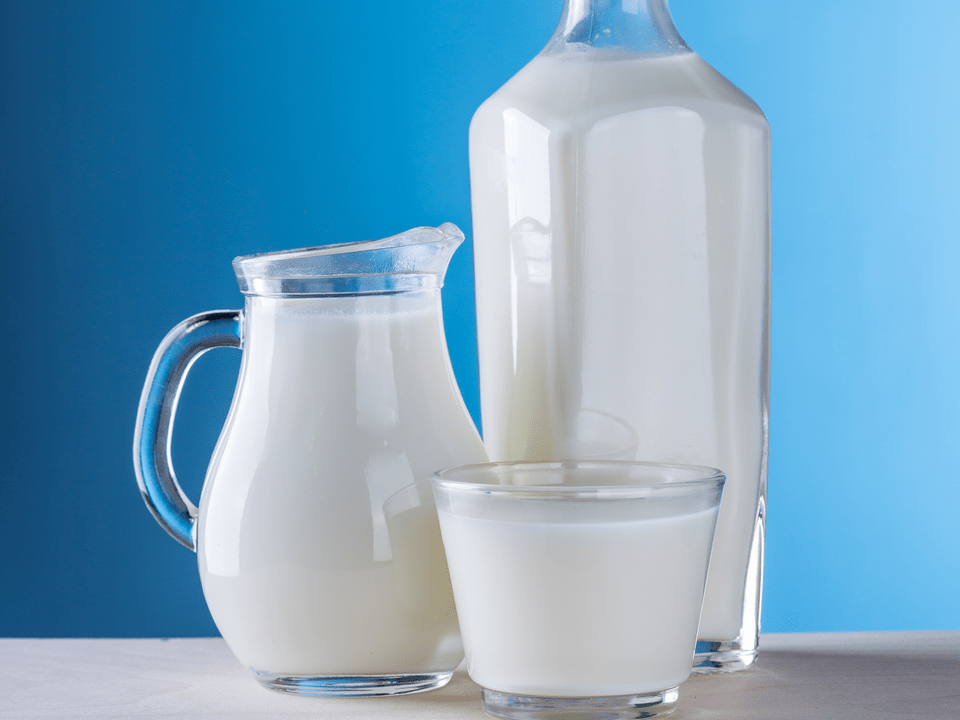piena produkti ir kefīra diētas pamatā